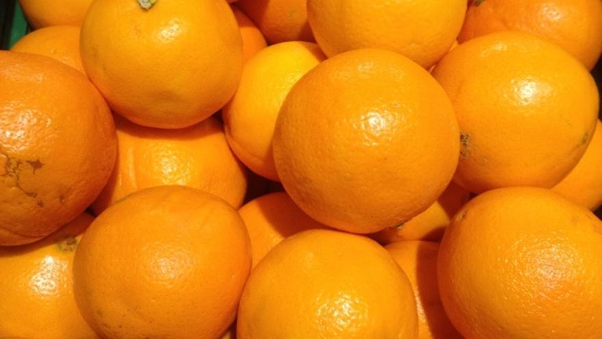 Cuales Son Los Tipos De Naranja Mas Habituales En El Mercado