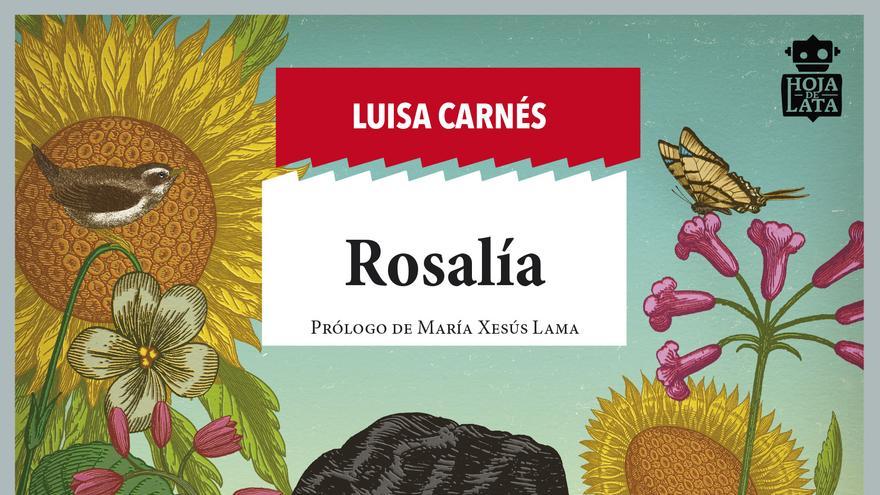 Rosalía de Castro y Luisa Carnés, dos literatas rebeldes que ...